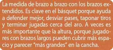 La medida de brazo a brazo con los brazos extendidos. Es clave en el básquet porque ayuda a defender mejor, desviar pases, taponar tiros y terminar jugadas cerca del aro. A veces es más importante que la altura, porque jugadores con brazos largos pueden cubrir más espacio y parecer “más grandes” en la cancha.